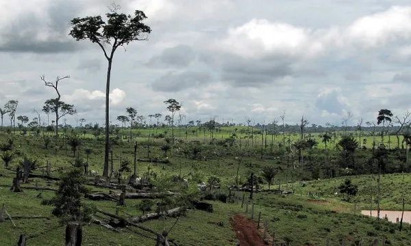 Deforestation in Capixaba