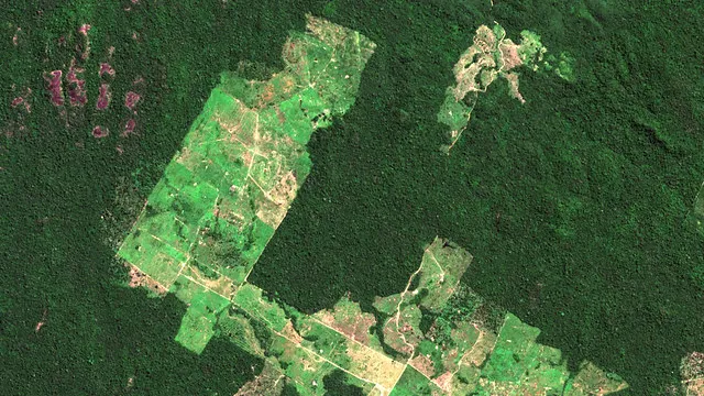 Deforestation in the Amazon